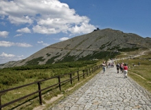 STRZELEC ��������� ������� ����� � ������ ���� ��������� ������