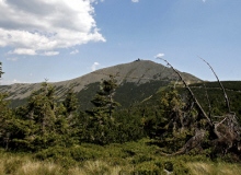 STRZELEC ��������� ������� ����� � ������ ���� ��������� ������